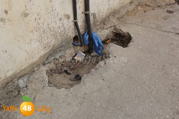 zaytoon house 0227 (40).JPG